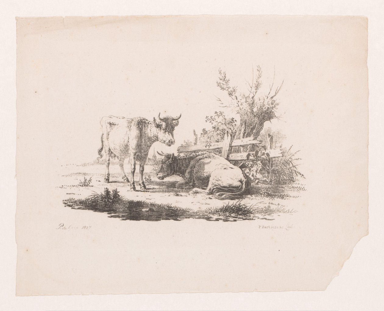 Deux vaches près d