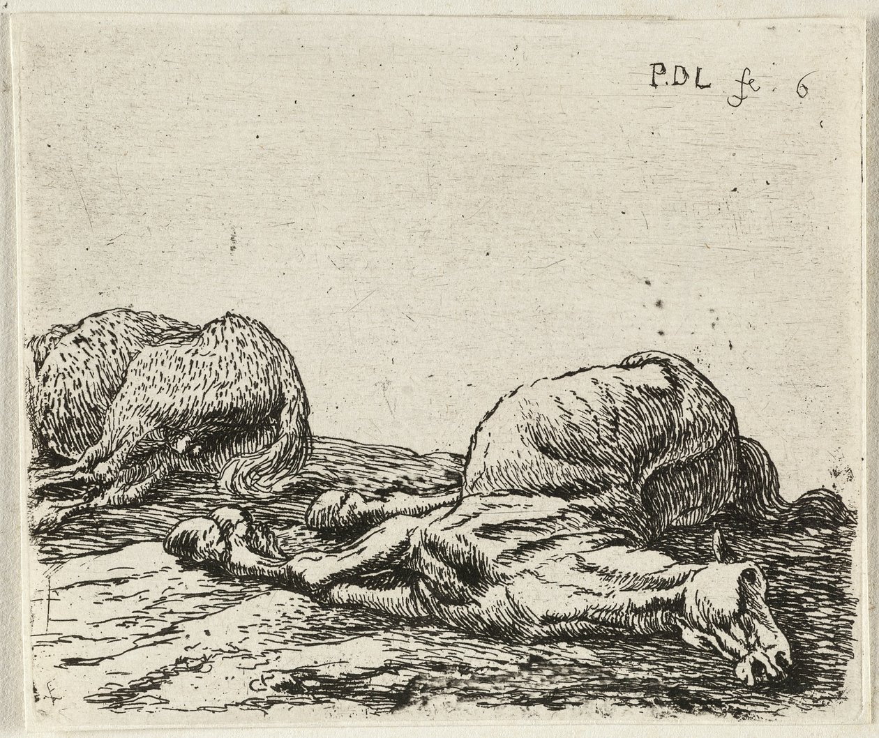 Allemand : Zwei tote Pferde
Français : Les deux chevaux morts
Deux chevaux morts - Pieter van Laer