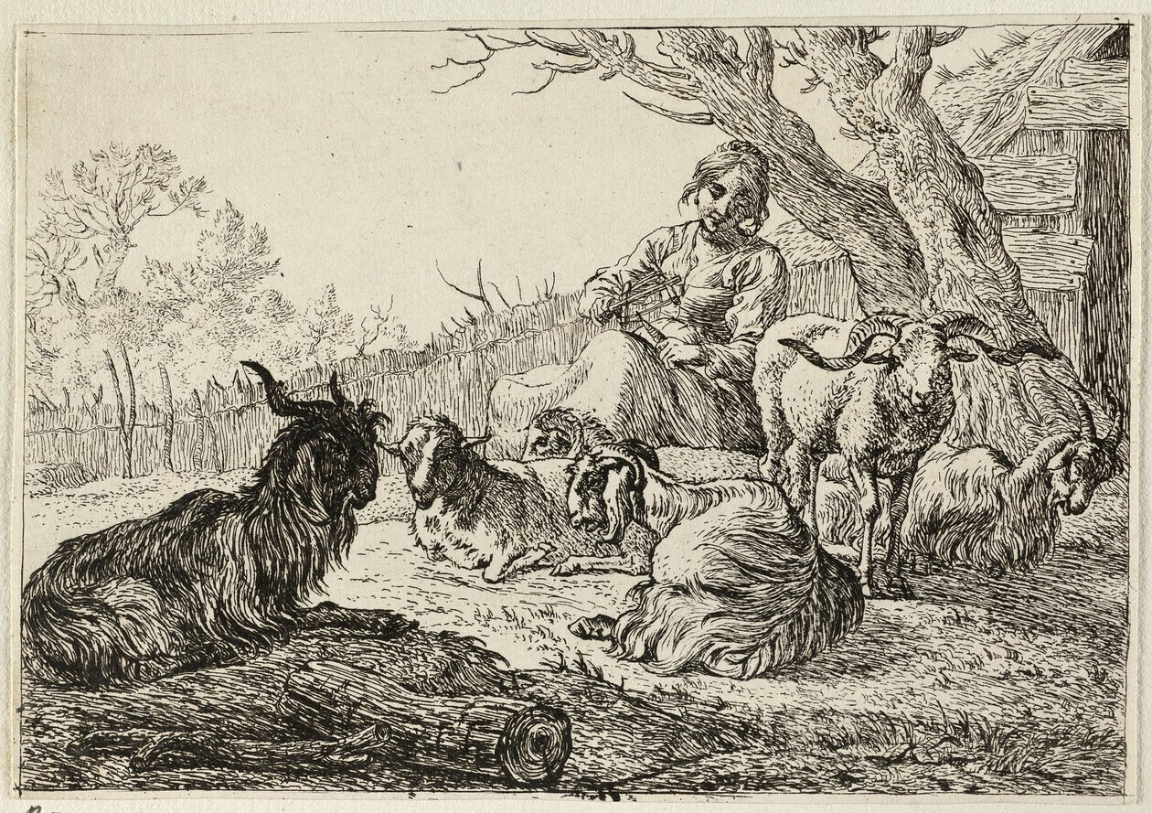 Sheperdess parmi les chèvres et les moutons - Pieter van Laer