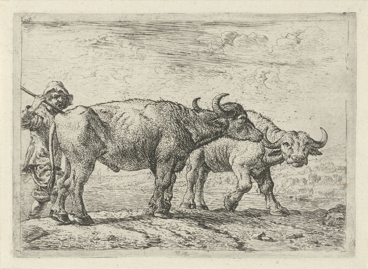 Deux buffles et un berger - Pieter van Laer