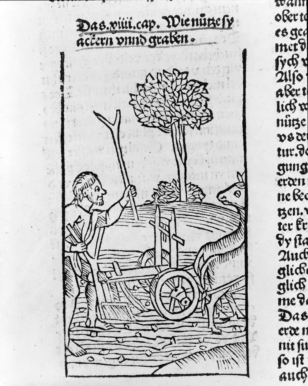 Gravure montrant un fermier labourant un champ - Pietro de