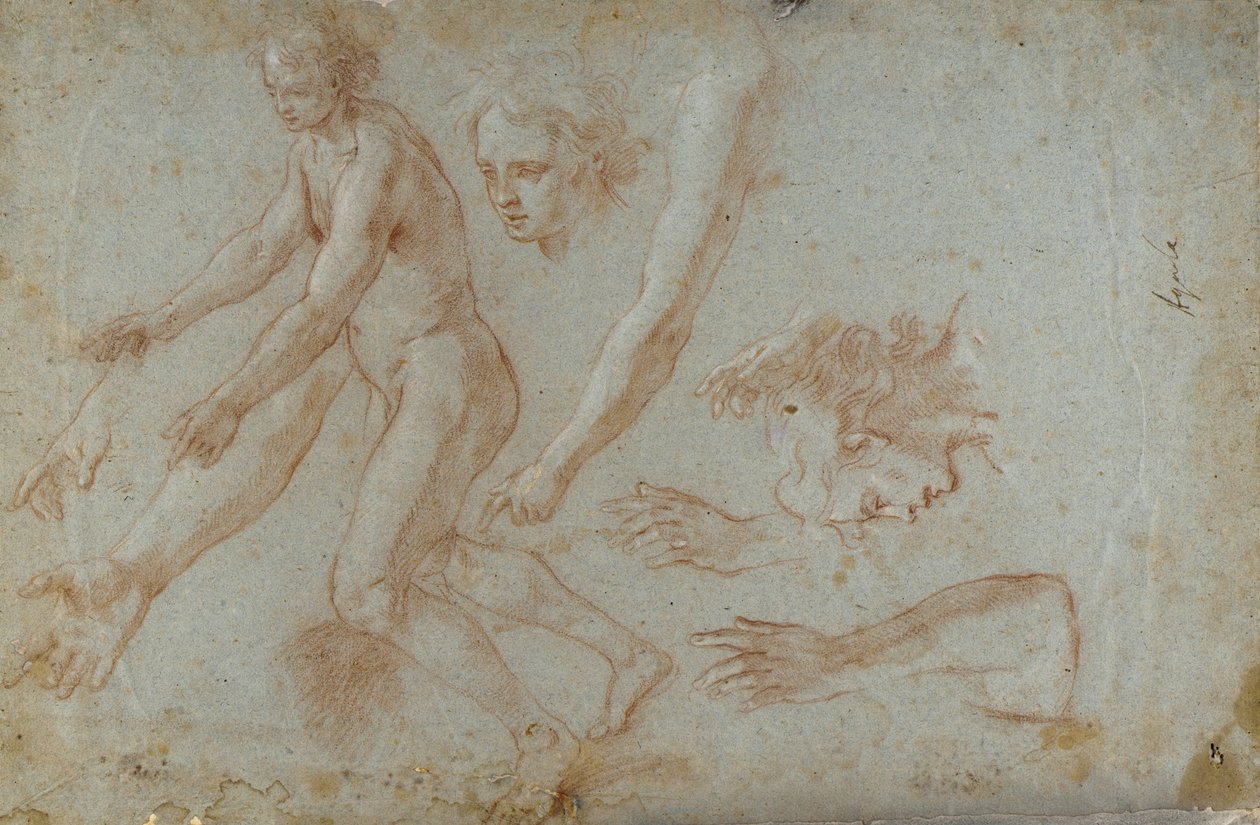Dessin - Pietro Aquila