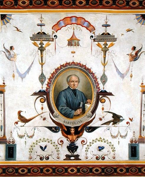 Portrait de Lorenzo Bartolini (1777-1850), détail du plafond de la Sala del Sindaco - Pietro Pezzati