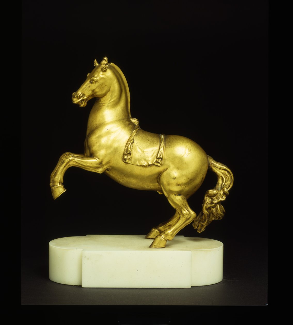 Cheval cabré - Pietro Tacca