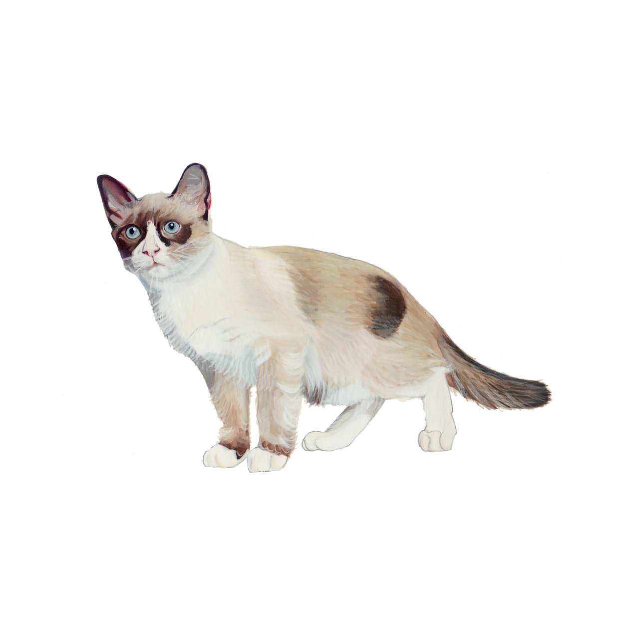 Raquette, 2014 (aquarelle et gouache sur papier) - Polly Horner