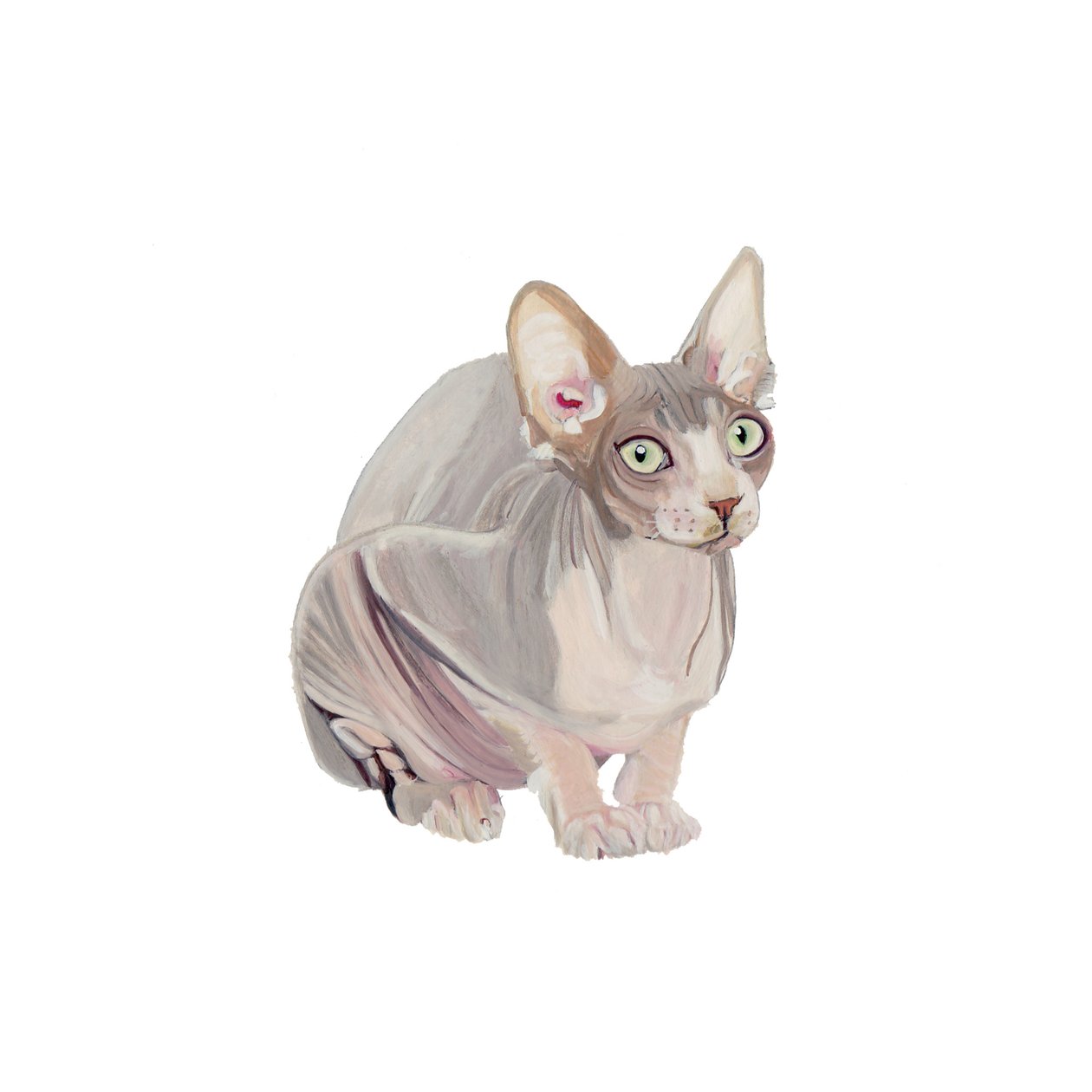 Sphynx, 2014 (aquarelle et gouache sur papier) - Polly Horner