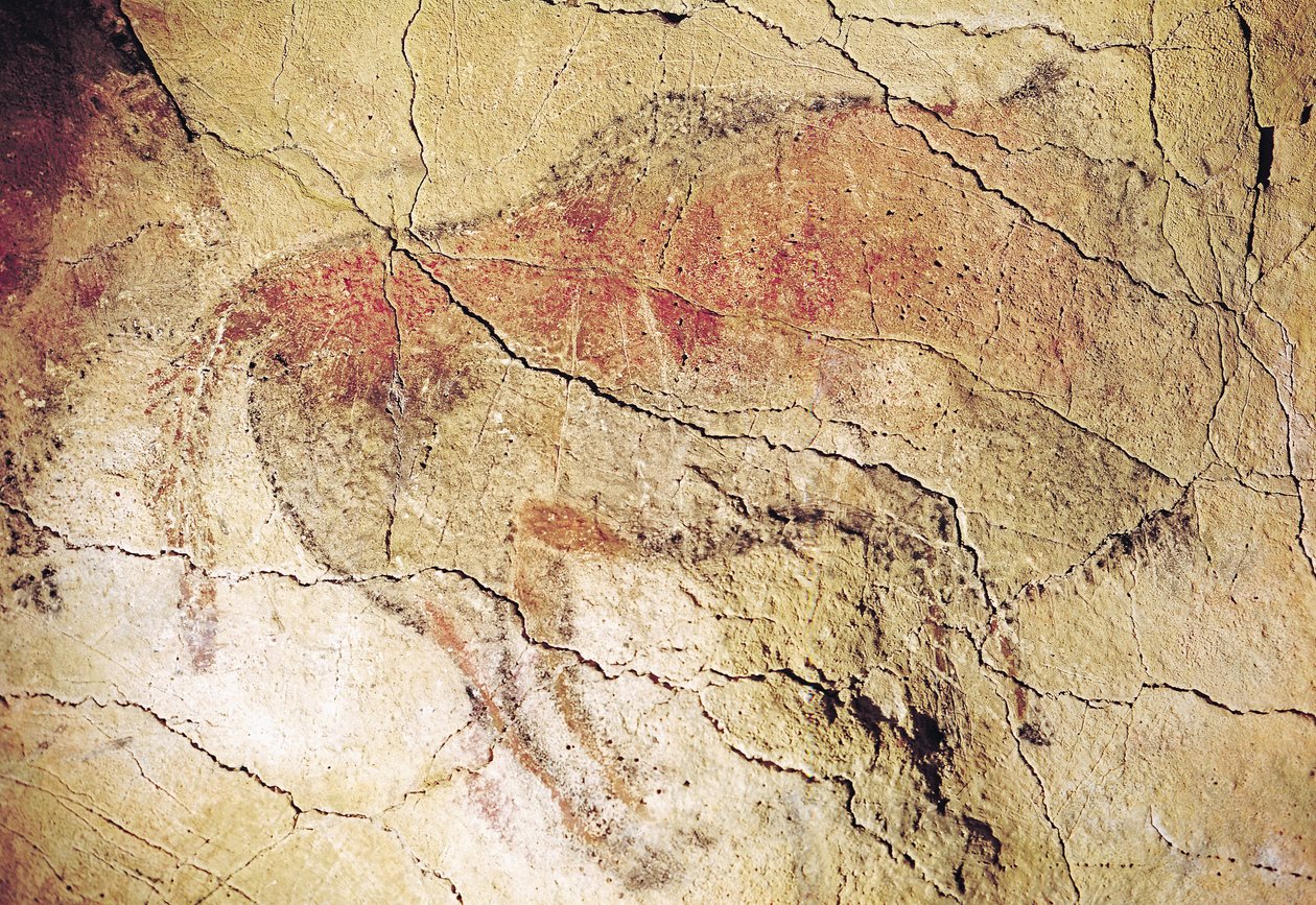 Bison des Grottes d