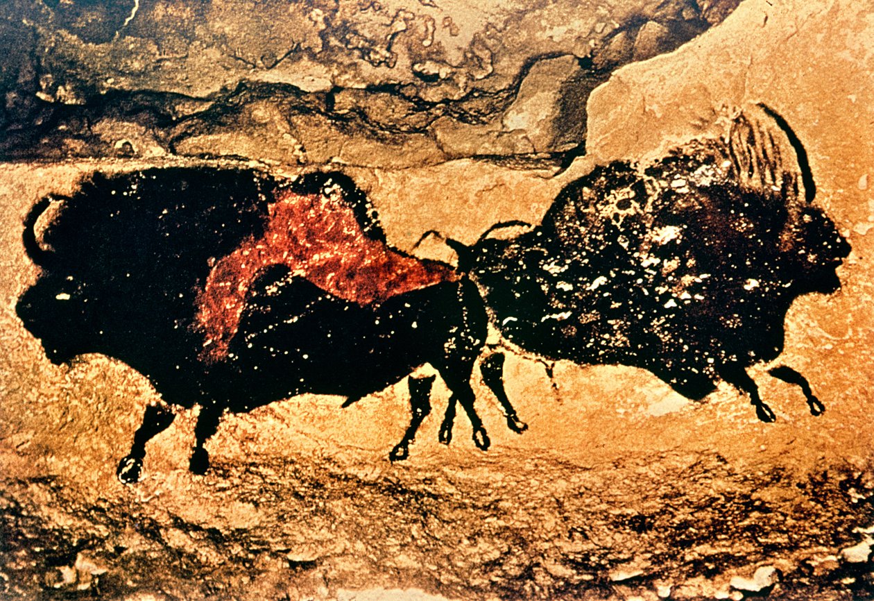 Peinture rupestre de bisons, c.17000 av. J.-C. - Prehistoric