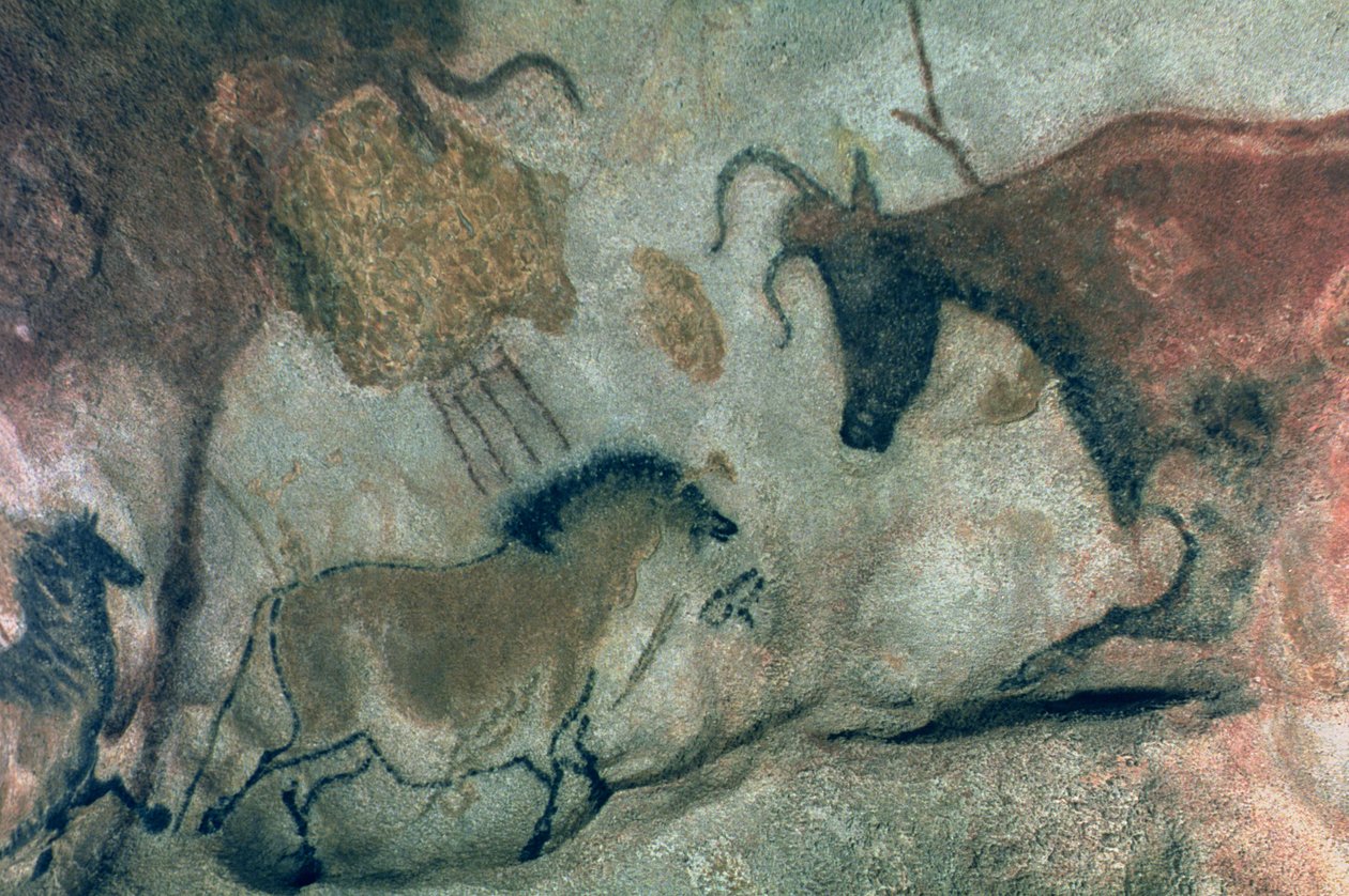 Peinture rupestre montrant un cheval et une vache, vers 17000 av. J.-C. (peinture rupestre) - Prehistoric