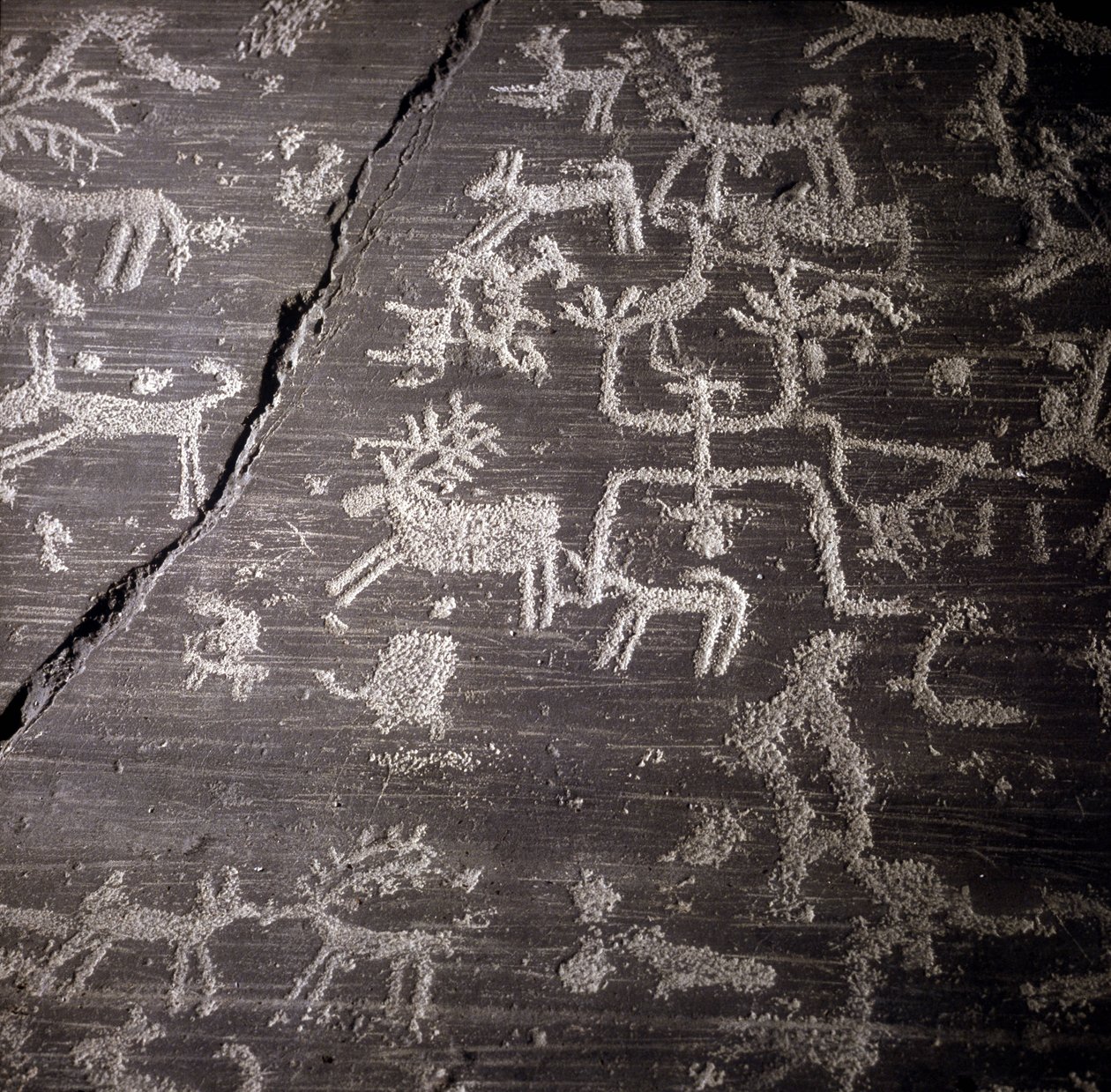 Civilisation des Camunni, Préhistoire, art rupestre : roche funéraire, détails de la grande roche de Naquane, en Valcamonica. Museo archeologico de Milan - Prehistoric Prehistoric
