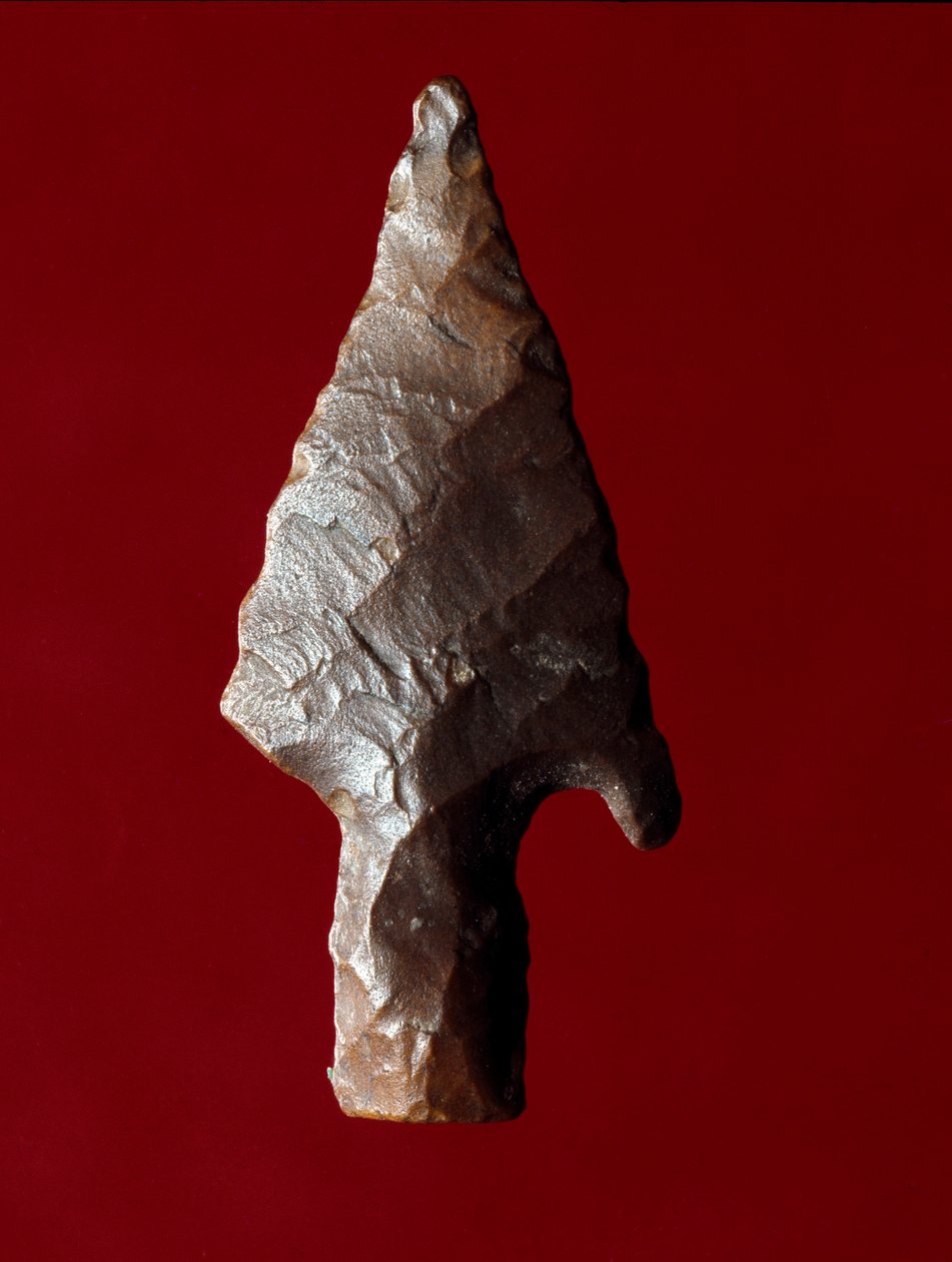 Antiquité égyptienne : pointe de flèche du site de Fayoum en Égypte - Prehistoric Prehistoric