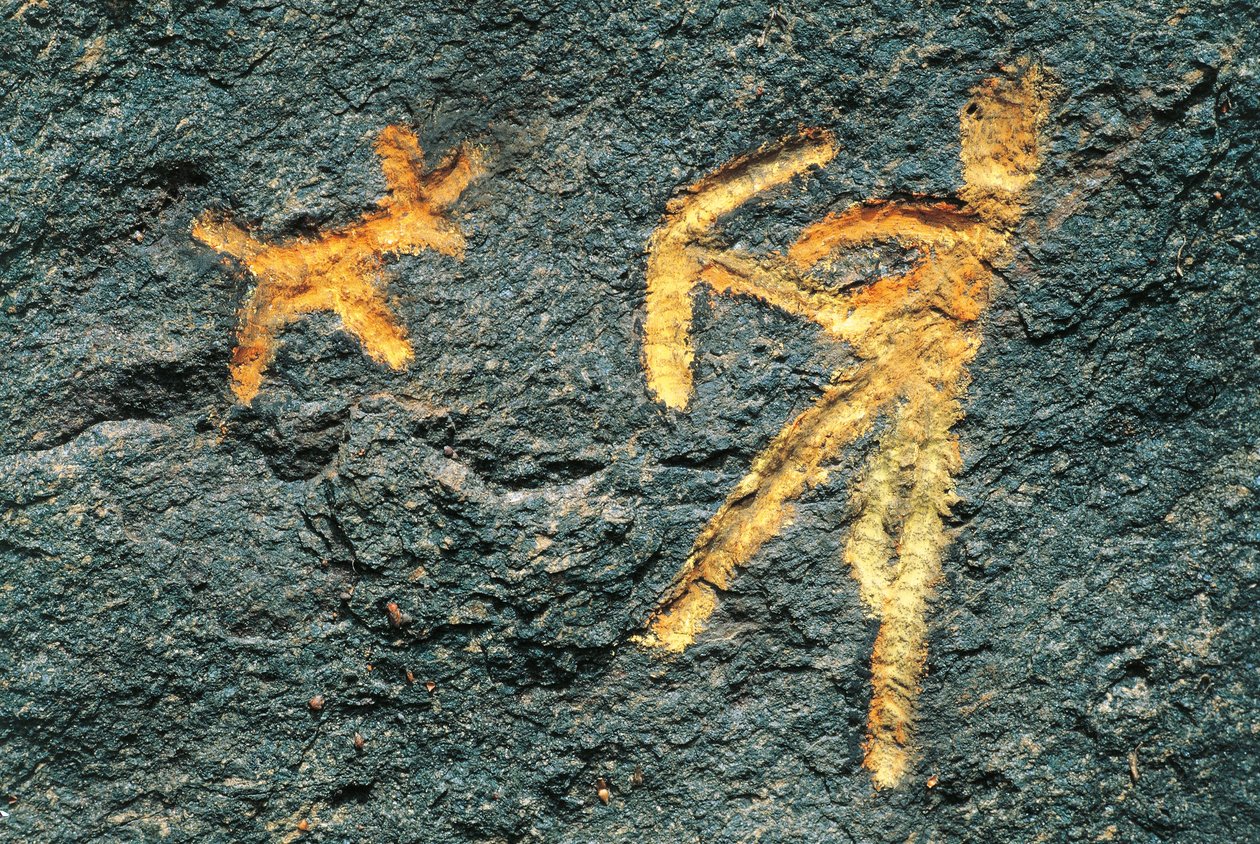 Italie, Région du Piémont, Vallée de Suse, gravures rupestres du Mont Musine - Prehistoric Prehistoric