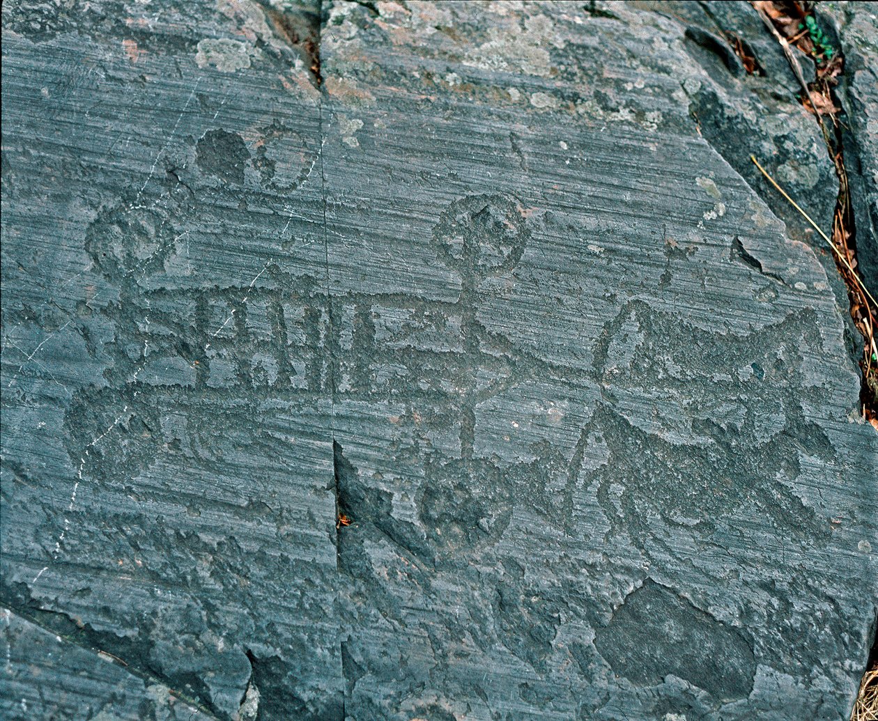 Préhistoire : civilisation camunienne : un char tiré par des chevaux, les roues sont représentées avec des rayons et les chevaux sont en profil dans une tentative de perspective. Gravure rupestre de la roche 23 par Naquane (Valcamonica, Val Camonica, Bresc - Prehistoric Prehistoric