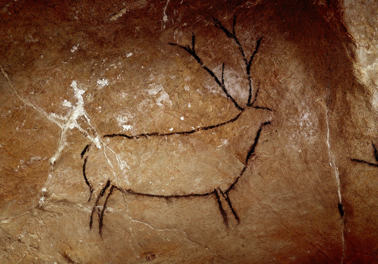Préhistoire : « un cerf » peinture rupestre du Paléolithique supérieur (Magdalénien) (entre 16500 et 14000 ans). Grotte de Las Chimeneas, Monte Castillo, Espagne - Prehistoric Prehistoric