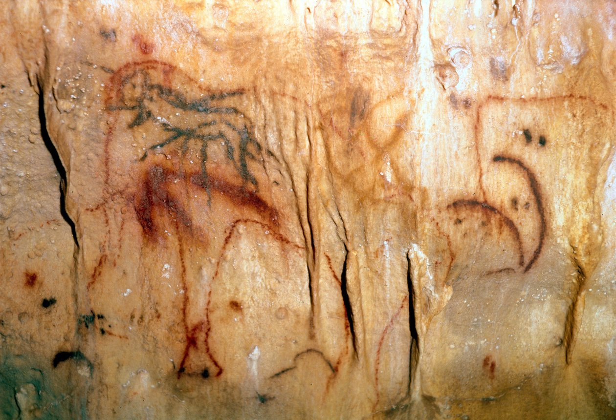 Préhistoire : un homme blessé - Prehistoric Prehistoric