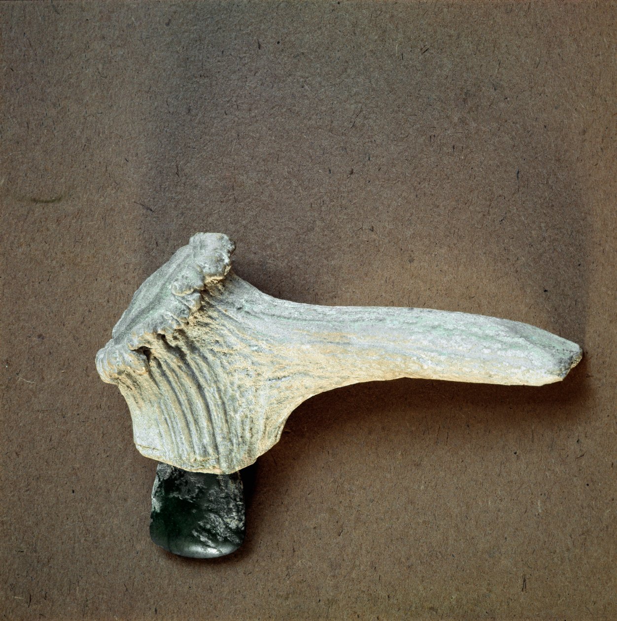 Préhistoire : hachette en pierre verte avec manche en bois de cerf de la grotte de Pollera - Prehistoric Prehistoric