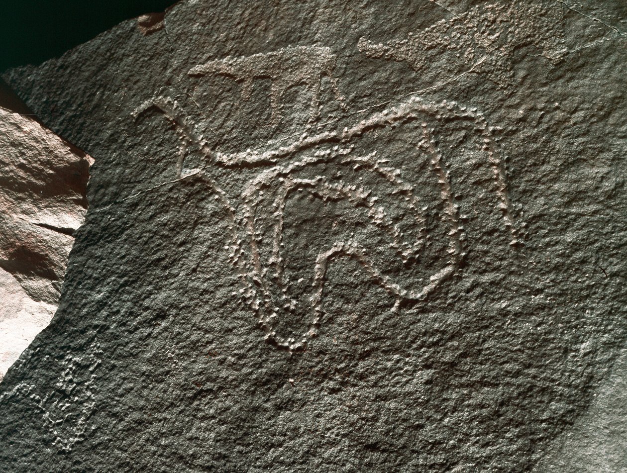 Préhistoire, art rupestre : une roche sérieuse de la représentation d