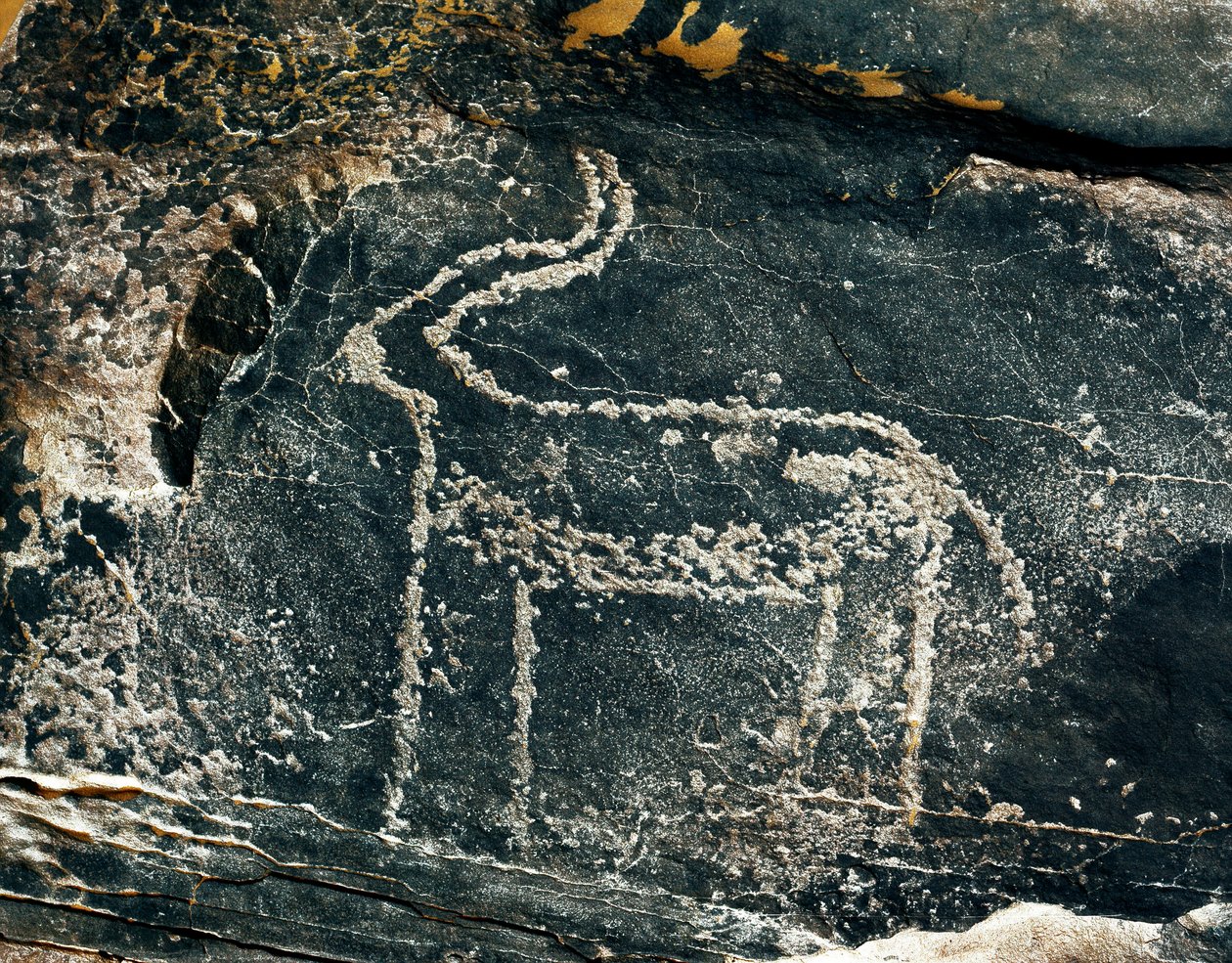 Préhistoire, art rupestre : roche gravée de la représentation d