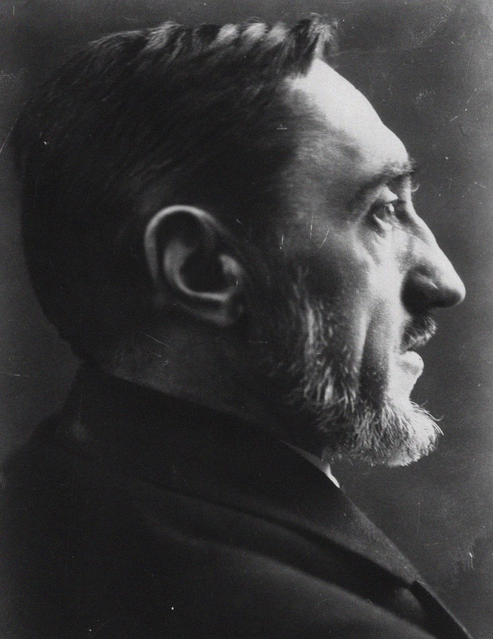 Portrait de l