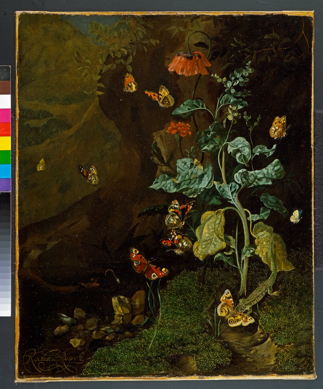 Nature morte avec fleurs, papillons et un lézard dans un vallon, avant 1750 - Rachel Ruysch