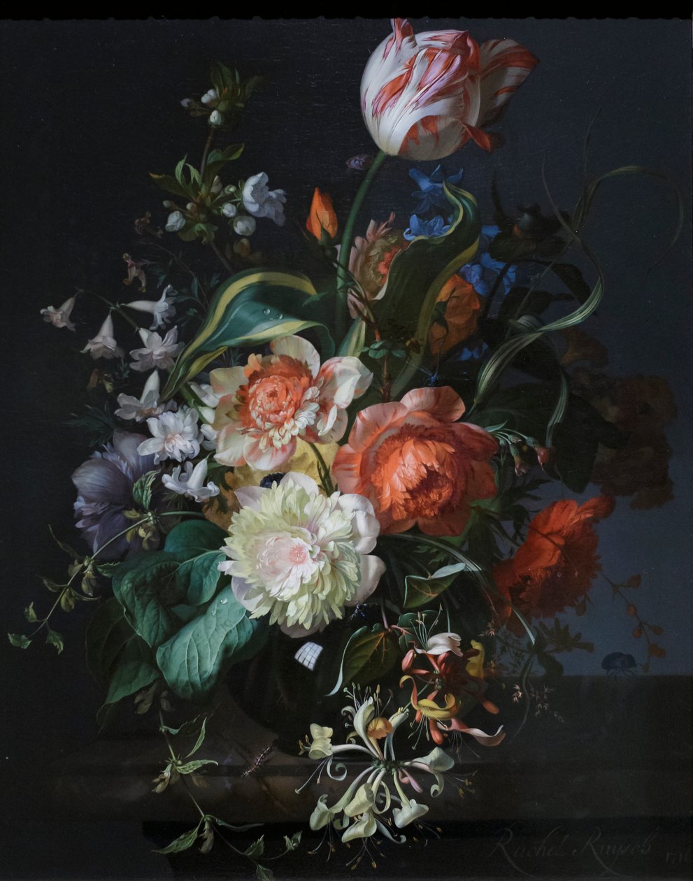 Fleurs dans un vase en verre avec une tulipe - Rachel Ruysch