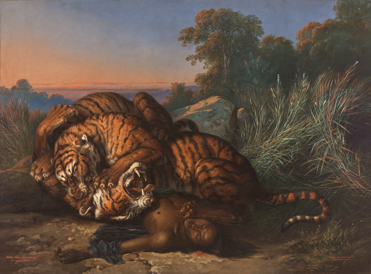 Tigres combattant au-dessus du cadavre d