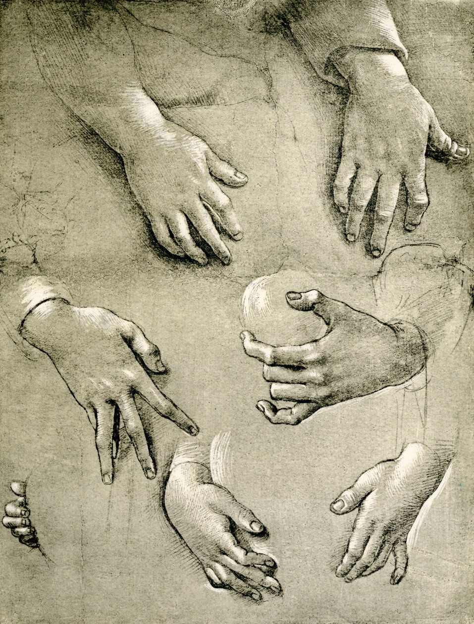 Études de mains pour une Madone - Raffaellino del Garbo
