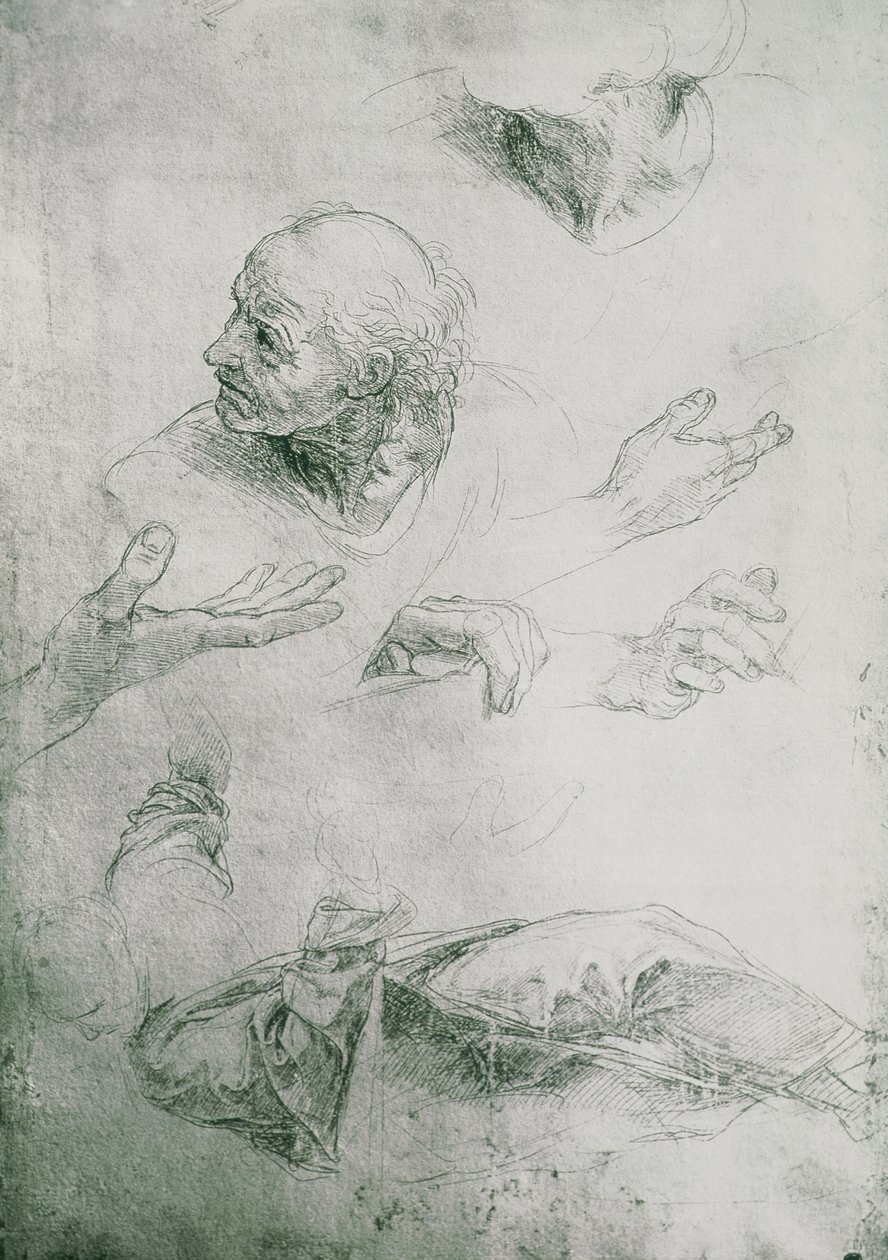 Études pour la figure de Bramante (1444-1515) - Raffaello Sanzio Raphael
