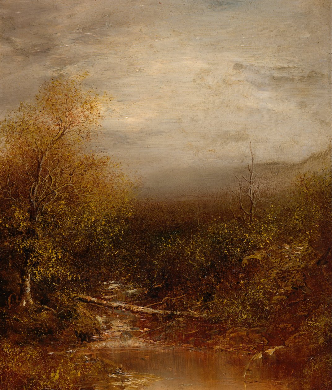 Piscine dans les Adirondacks - Ralph Albert Blakelock