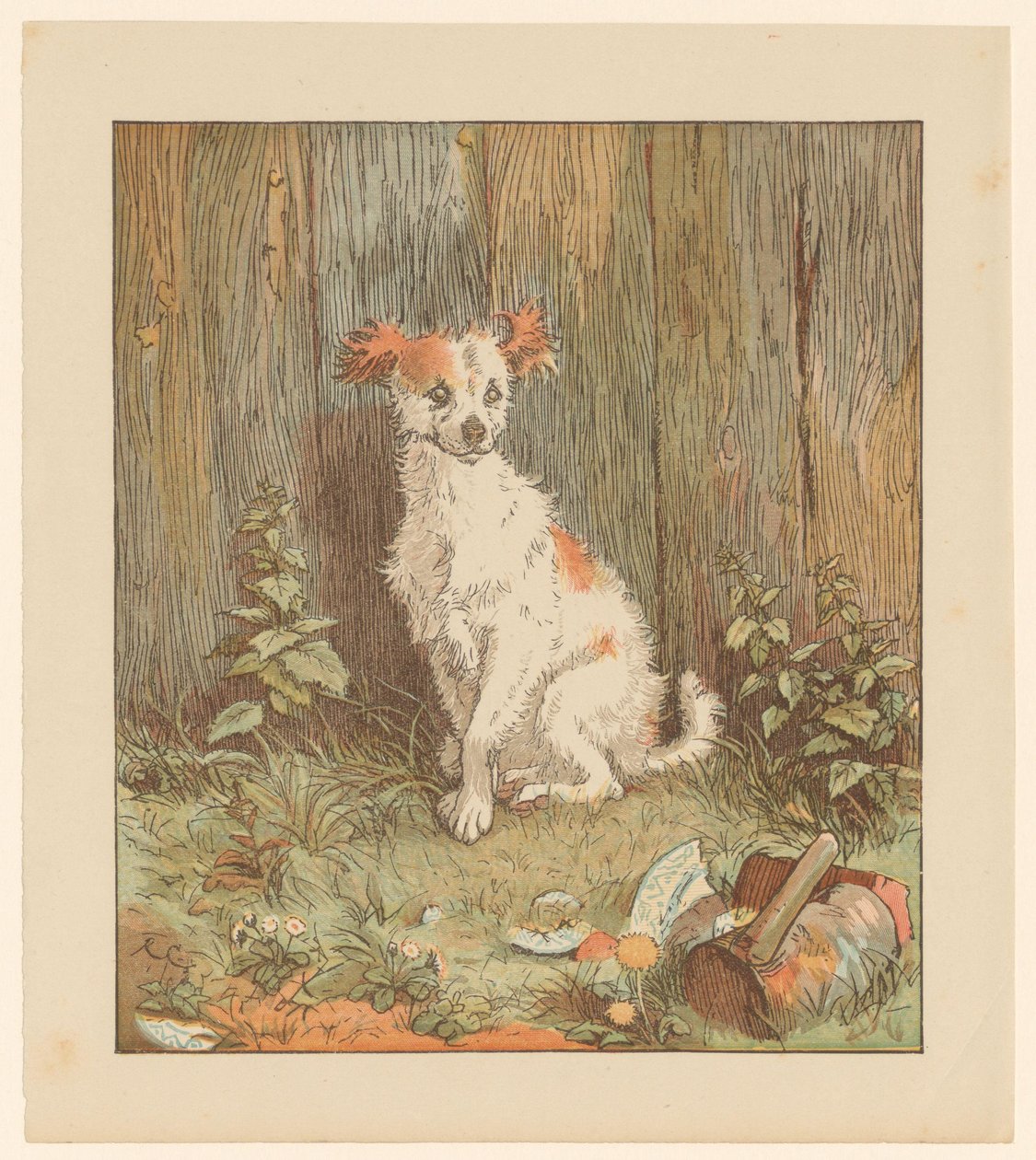 Petit chien assis près d