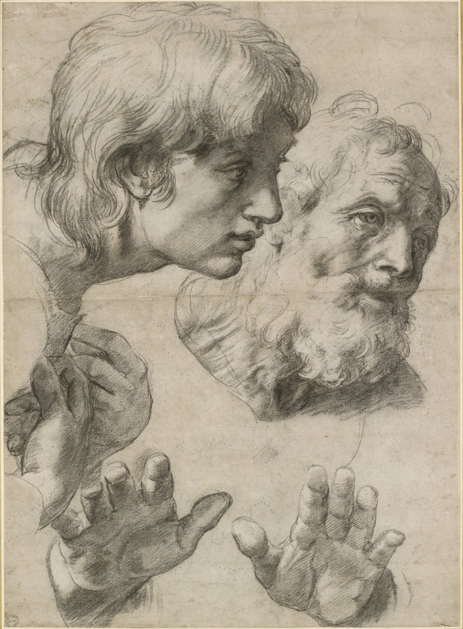Études des têtes de deux apôtres et de leurs mains - Raffaello Sanzio Raphael