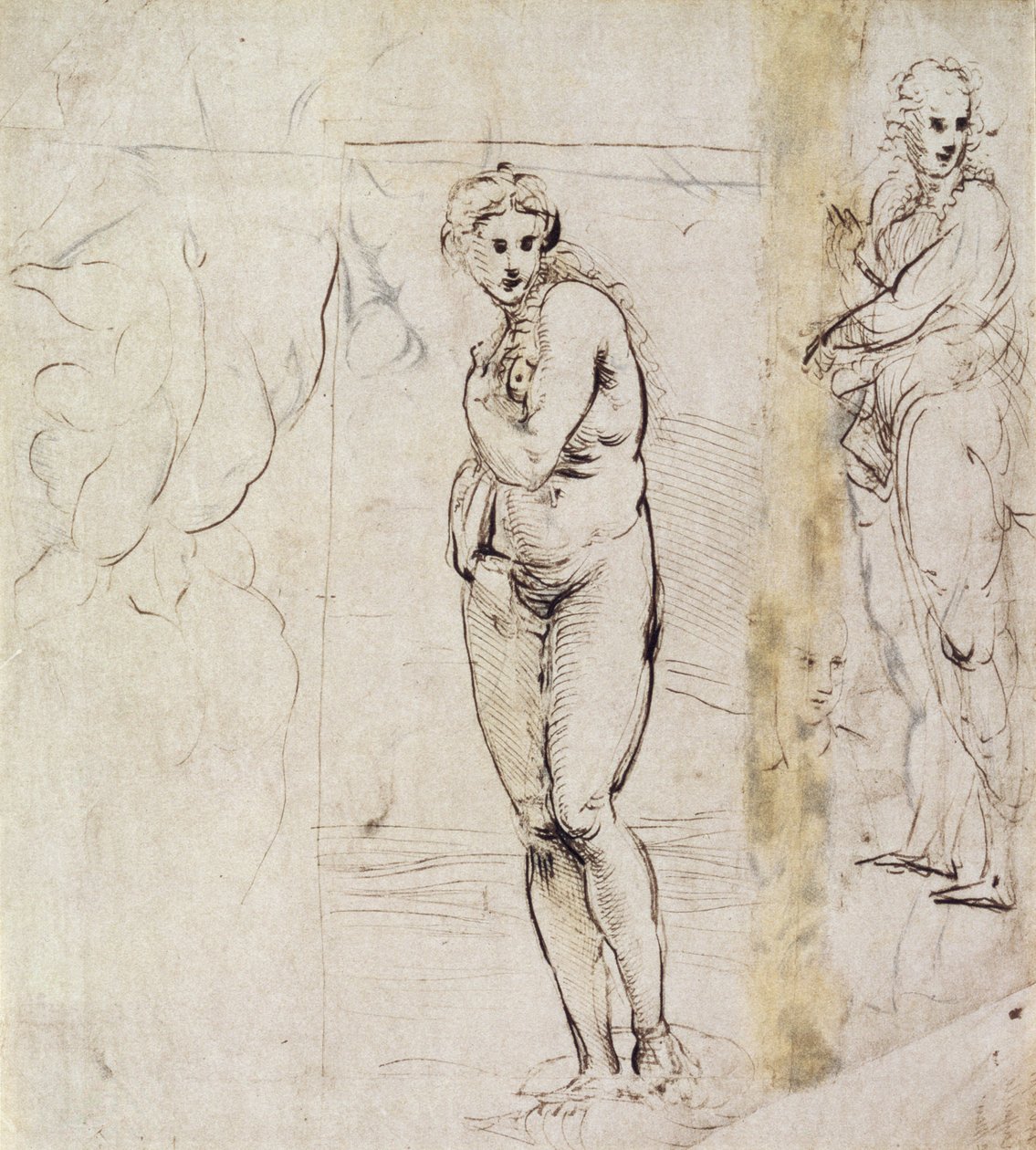 Étude de Vénus - Raffaello Sanzio Raphael