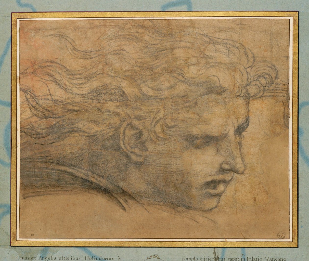 Tête de jeune homme, trois quarts vers la droite ... - Raphael (1483 1520)