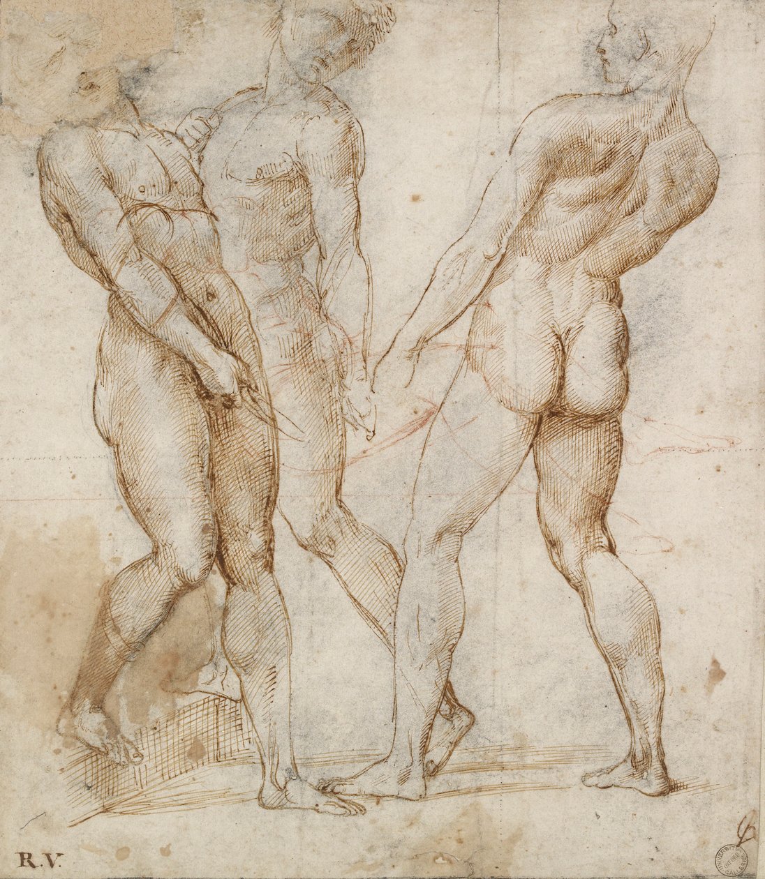 Trois porteurs nus Étude pour la Mise au tombeau, début du 16e siècle - Raphael