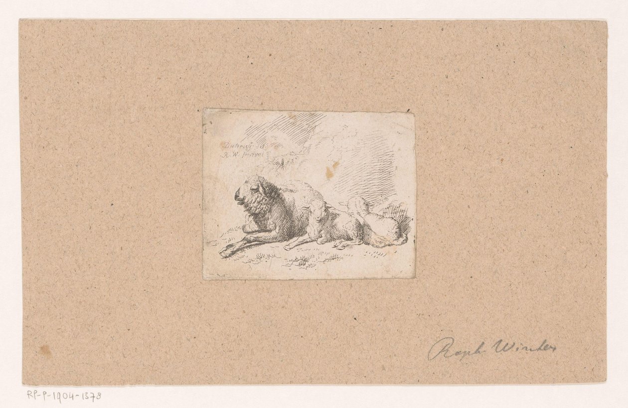 Mouton couché avec deux agneaux - Raphael Winter