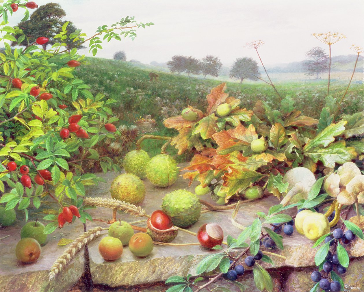 La cueillette dans la nature - Raymond Booth