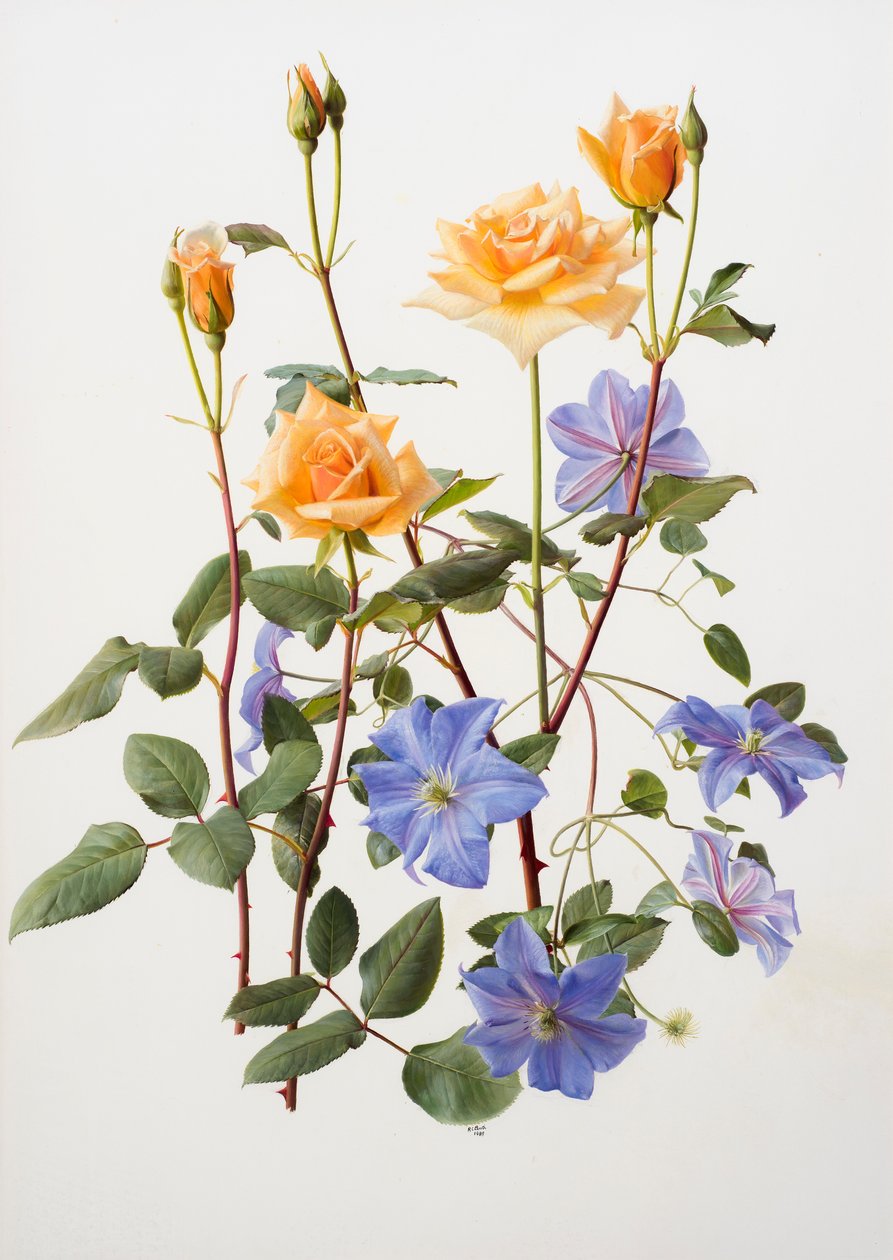 Rose et clématite - Raymond Booth