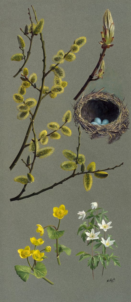 Études de printemps (huile sur papier) - Raymond Booth