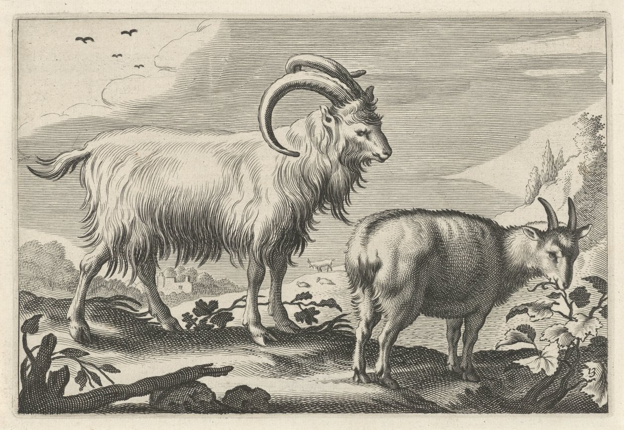 Paysage vallonné avec deux chèvres (Diversa Animalia Quadrupedia) - Reinier van Persijn