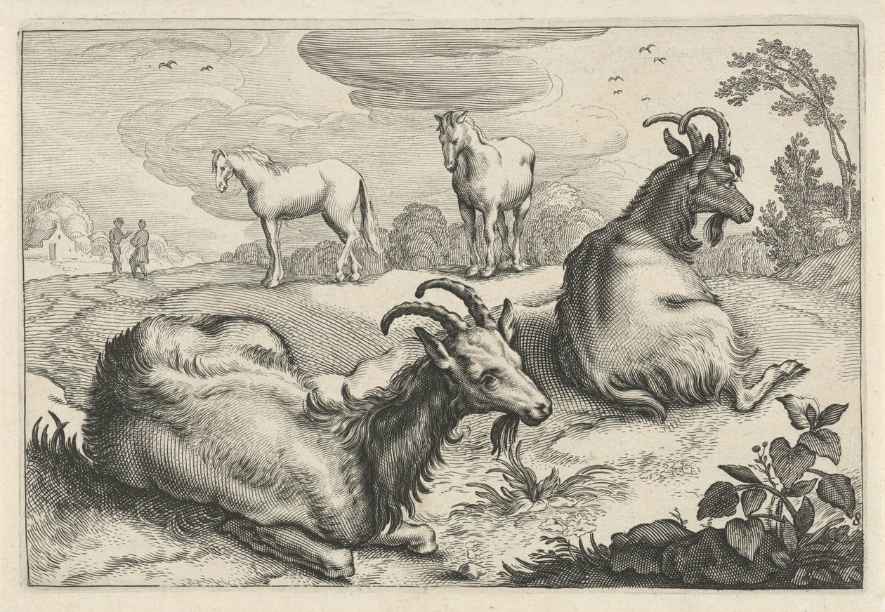 Paysage avec deux chèvres et deux chevaux (Diversa Animalia Quadrupedia) - Reinier van Persijn