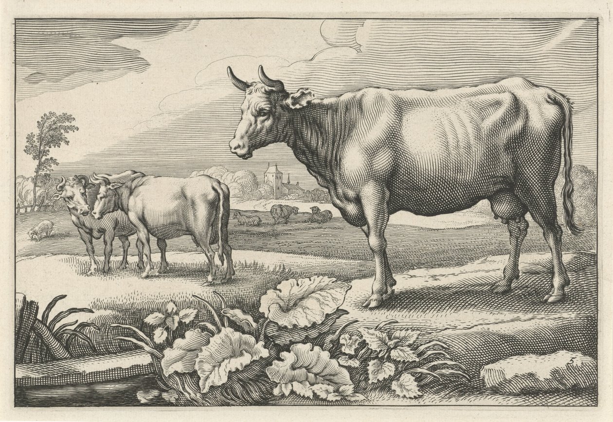 Prairie avec des vaches (Diversa Animalia Quadrupedia) - Reinier van Persijn