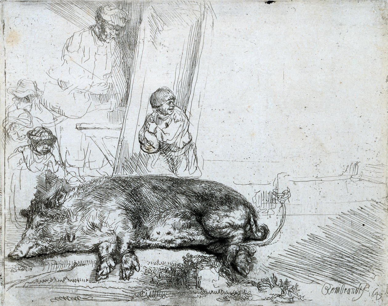 Le cochon - Rembrandt van Rijn
