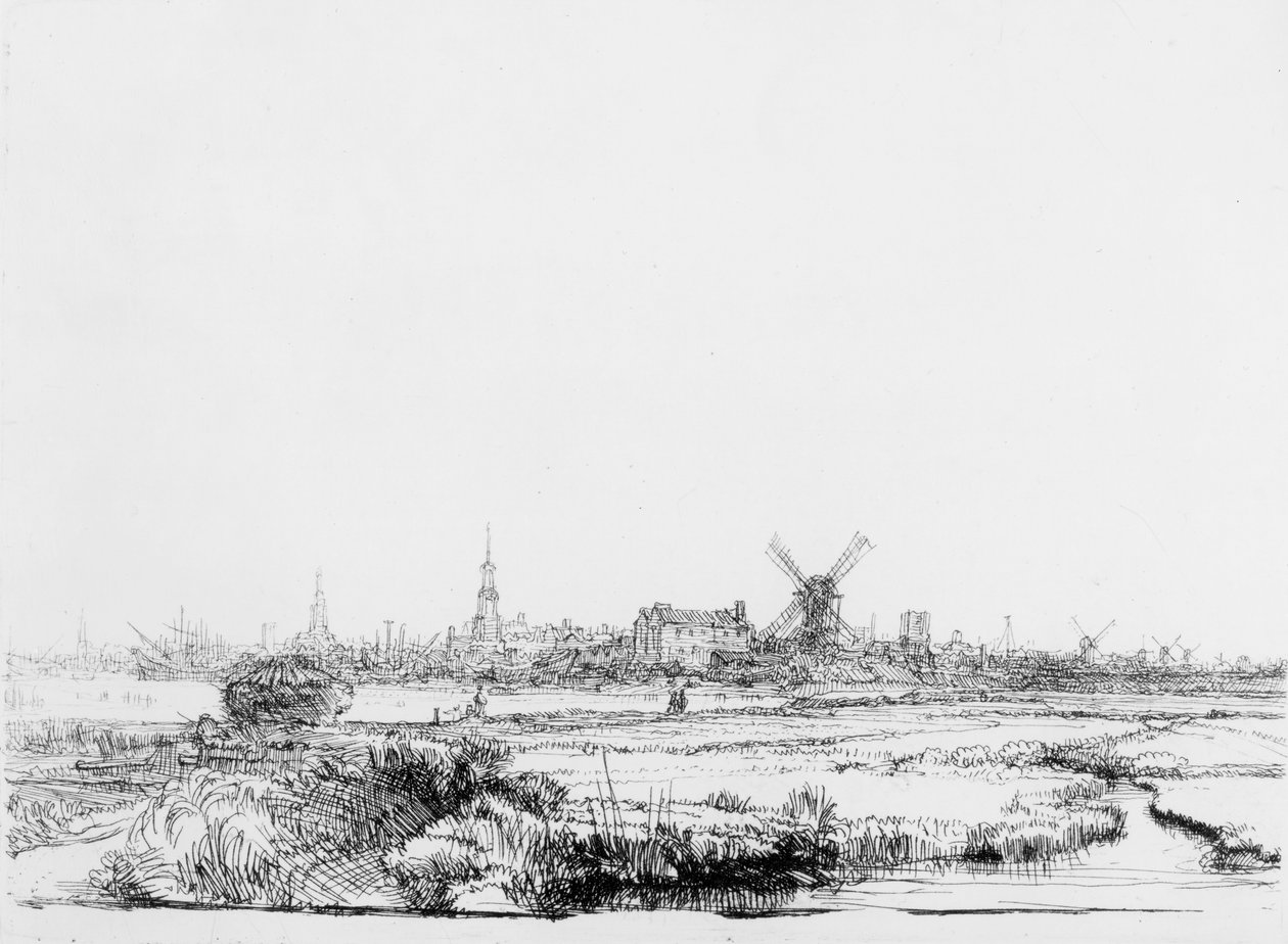 Vue d