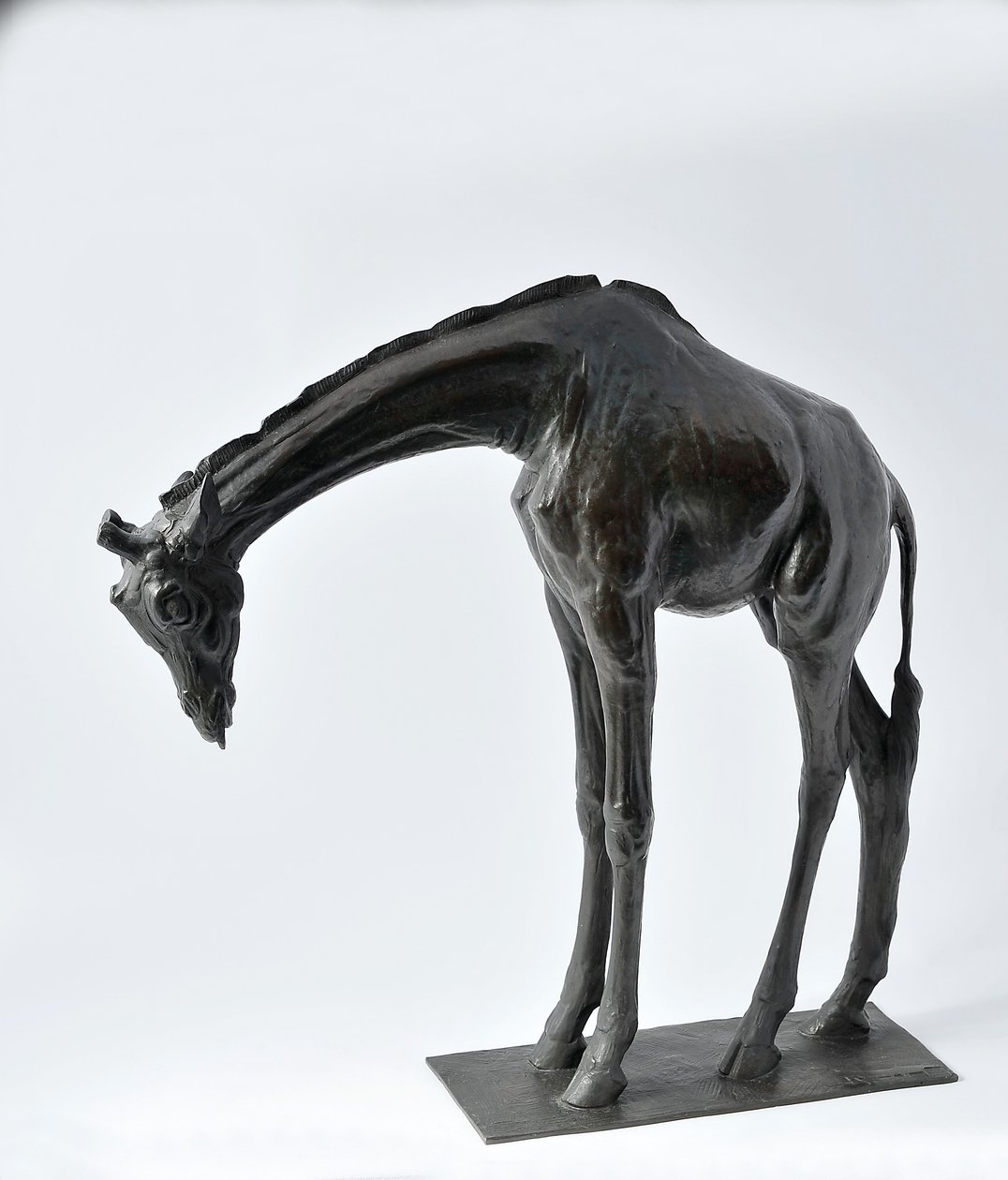Grande girafe avec tête baissée, modelée 1909-10, coulée avant 1913 - Rembrandt Bugatti