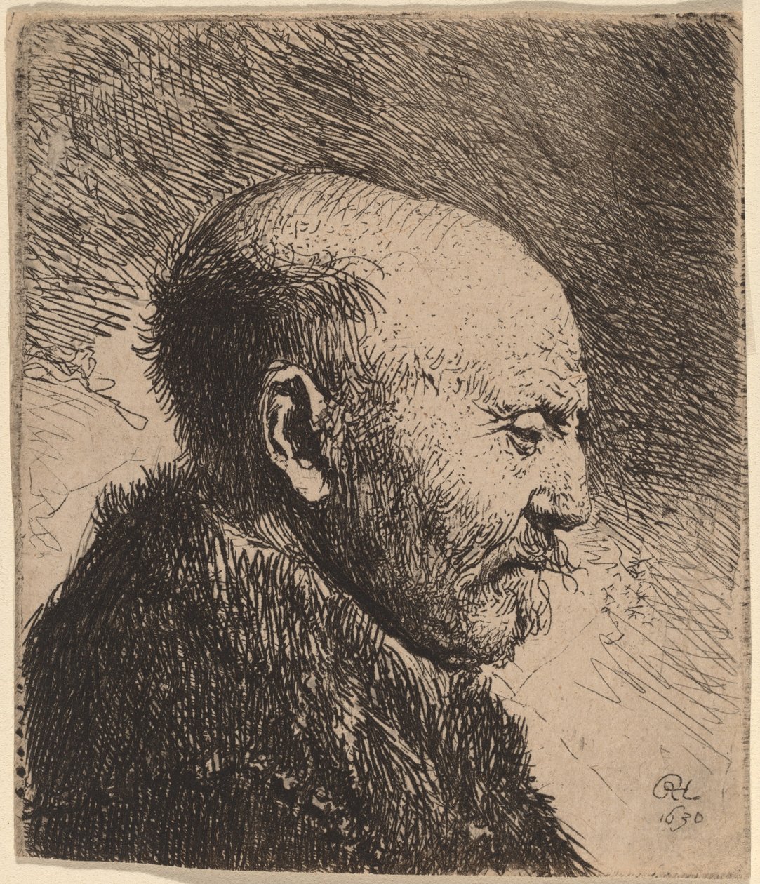 Un Homme Chauve de Profil (Le Père de l