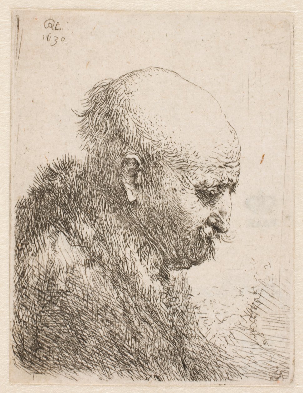 Homme chauve (le père de Rembrandt ) vu de profil à droite ; petit buste - Rembrandt van Rijn