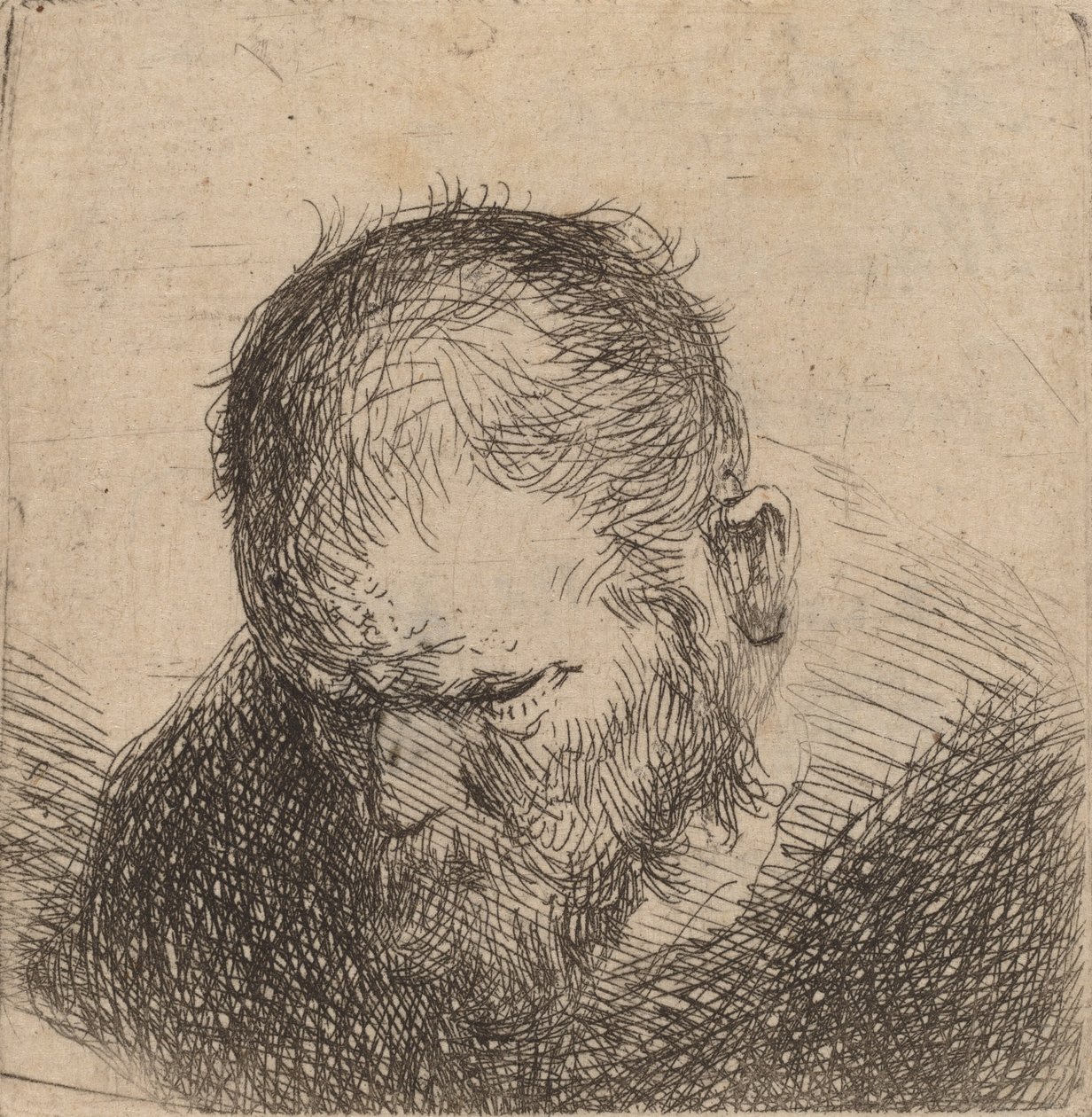 Homme barbu regardant vers le bas, peut-être 1631 - Rembrandt van Rijn