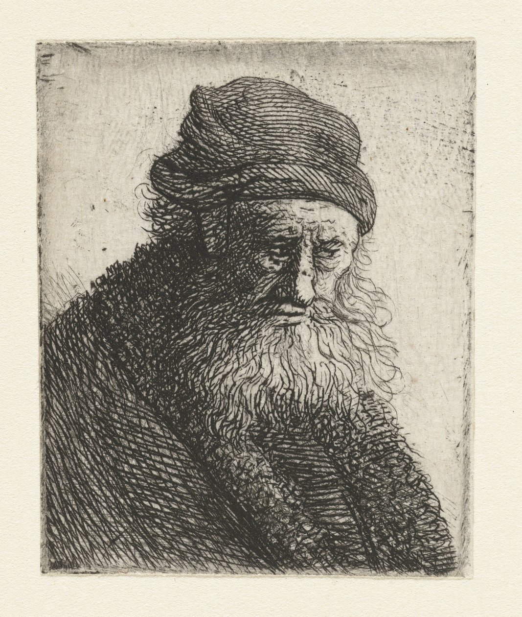 Homme barbu aux cheveux courts et ondulés : buste - Rembrandt van Rijn