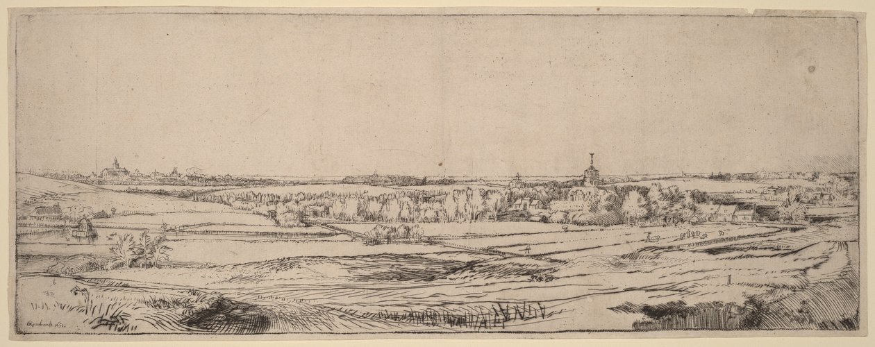 Paysage avec vue sur Haarlem (Le champ des peseurs d