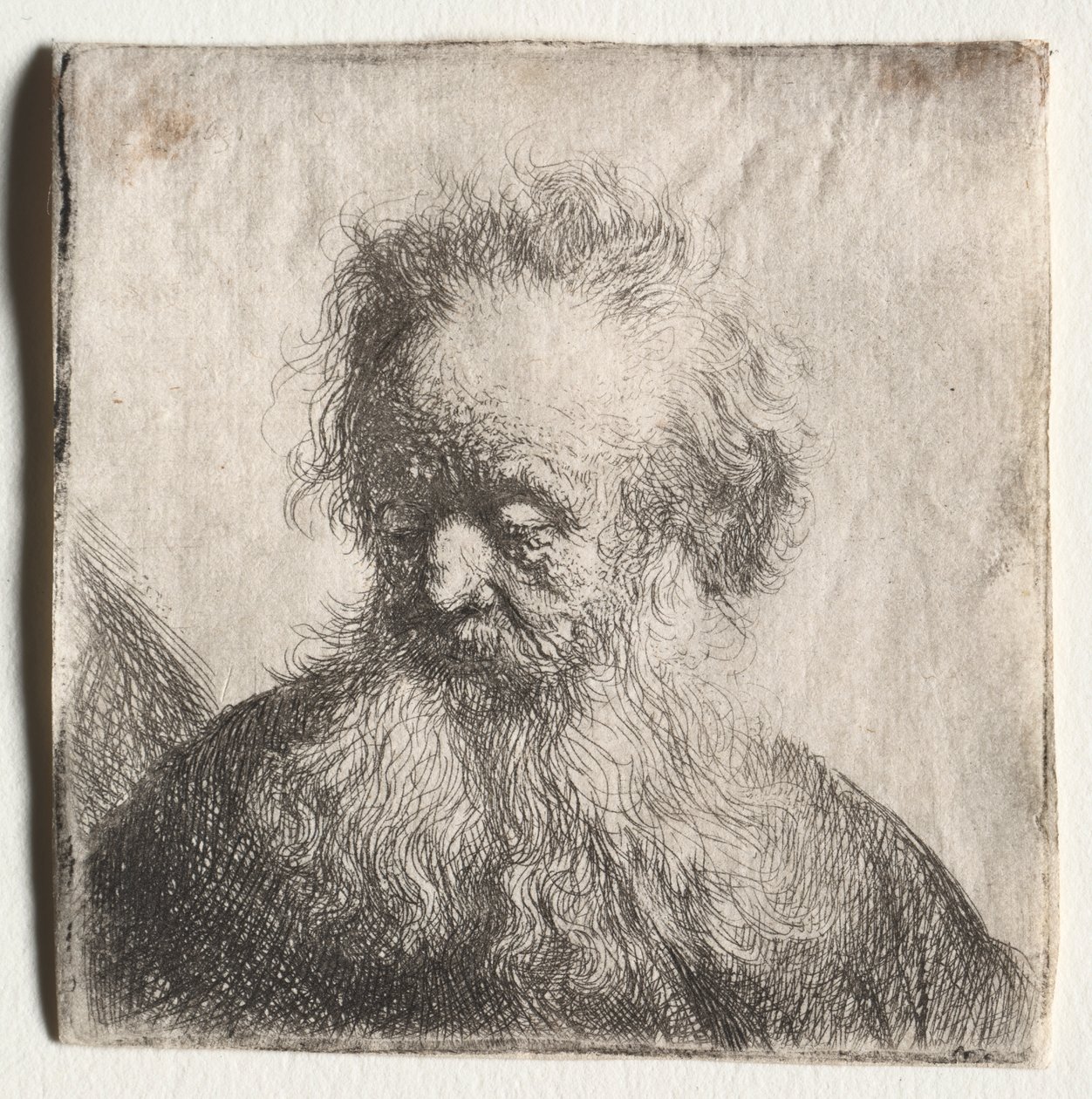 Vieil homme à la barbe flottante : Buste - Rembrandt van Rijn